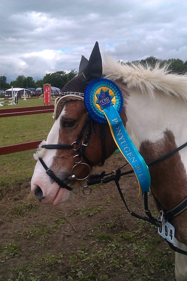 Anden særlig race Mr Mulle *Min soulmate* billede 6