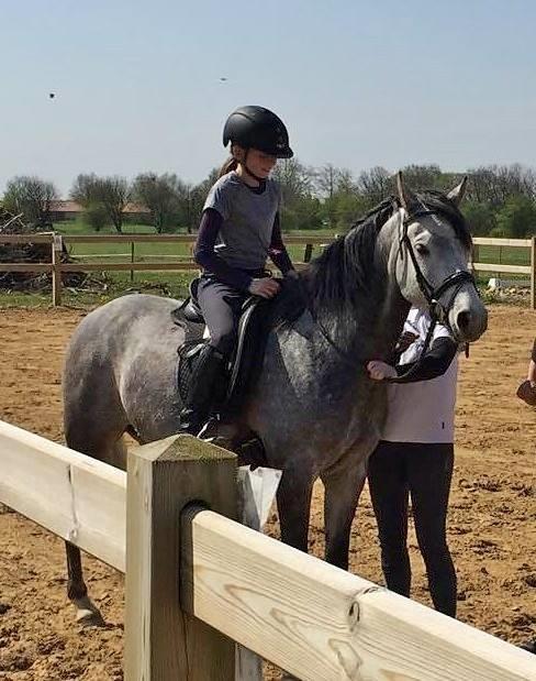 Tysk Sportspony Prince Vincent - Første gang jeg sad på ham billede 3