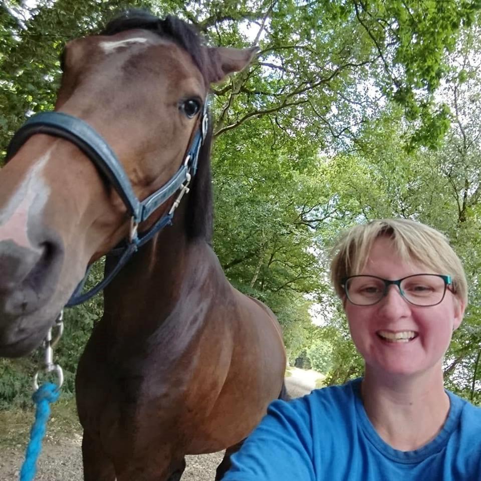 Dansk Varmblod Grevens zahrina billede 5