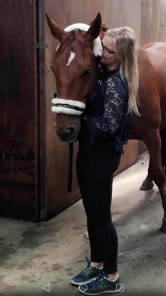 Anden særlig race Balu - Bedøvet Balu til røgnten billede 18