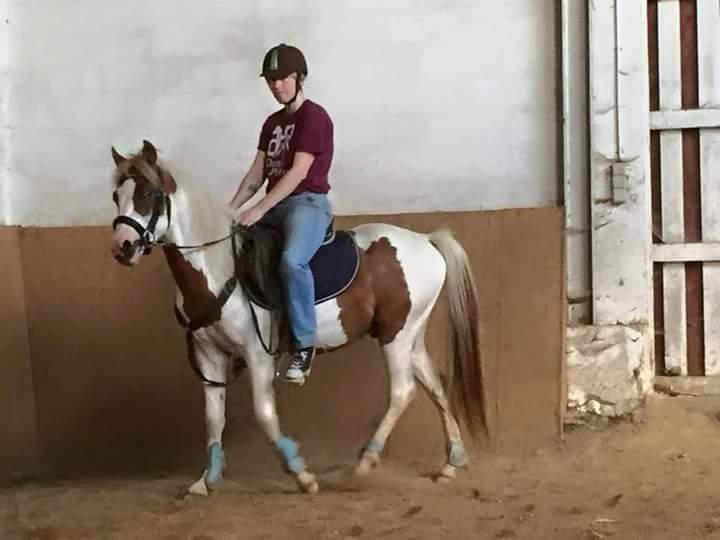 Pinto svalebo's Jackson billede 7