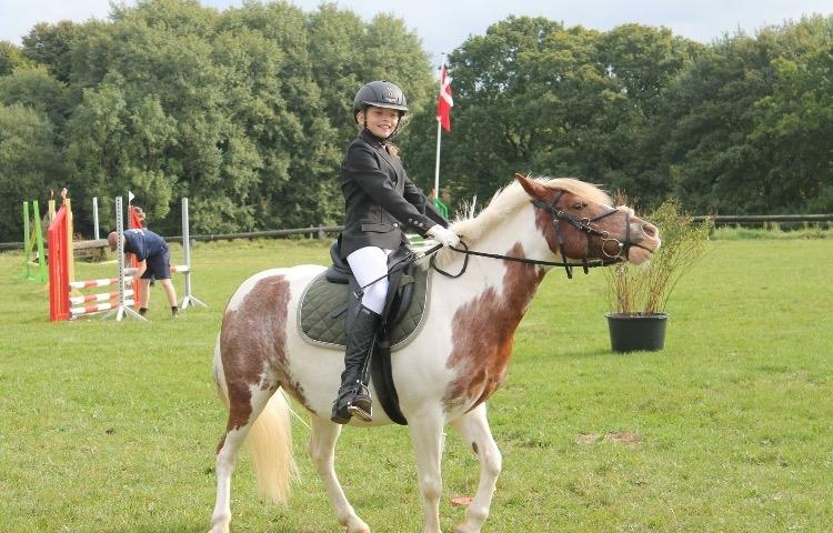 Anden særlig race Mr Mulle *Min soulmate* billede 17