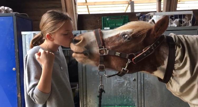 Anden særlig race Mr Mulle *Min soulmate* billede 20