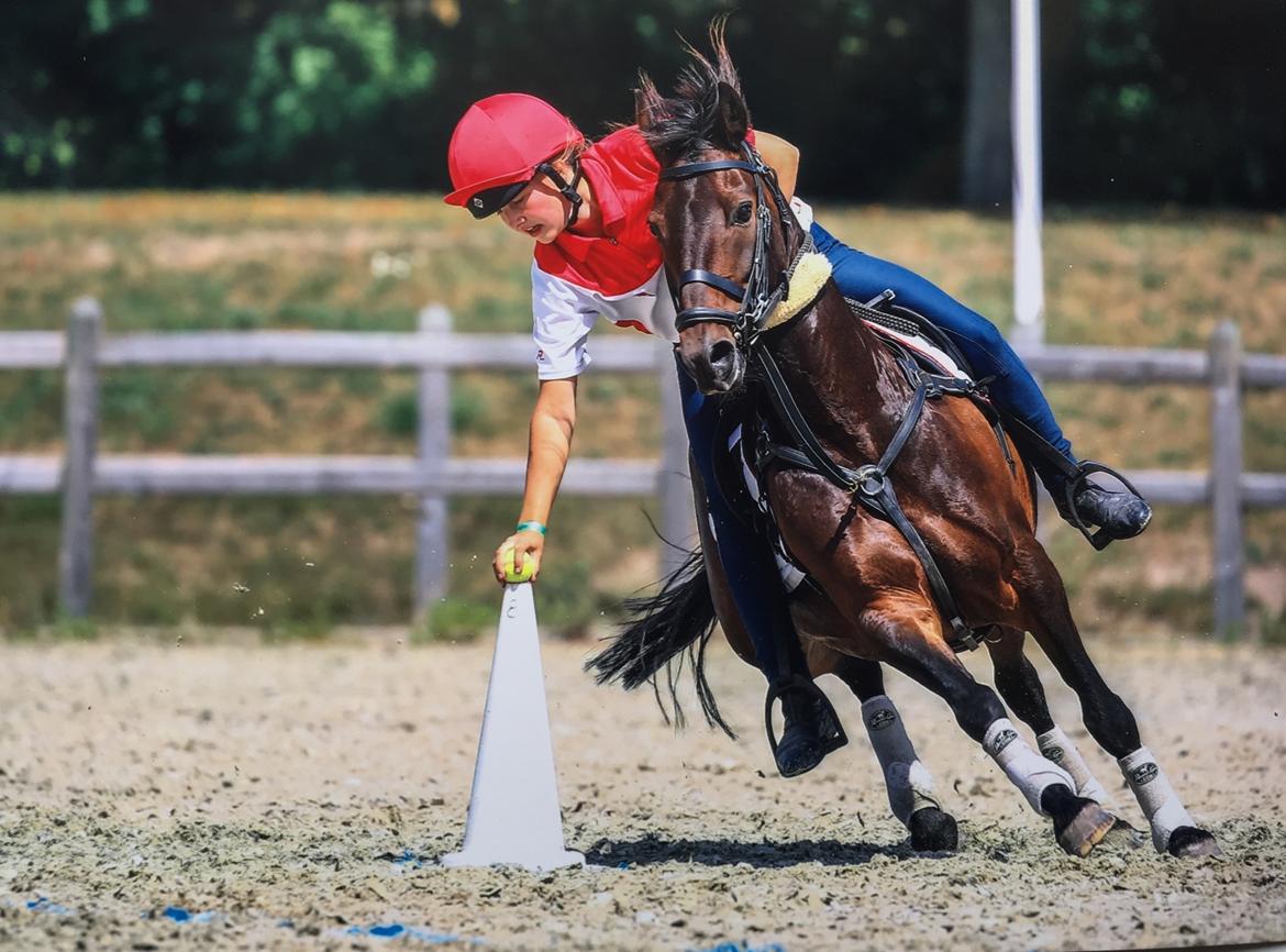 Anden særlig race Jumper  billede 12