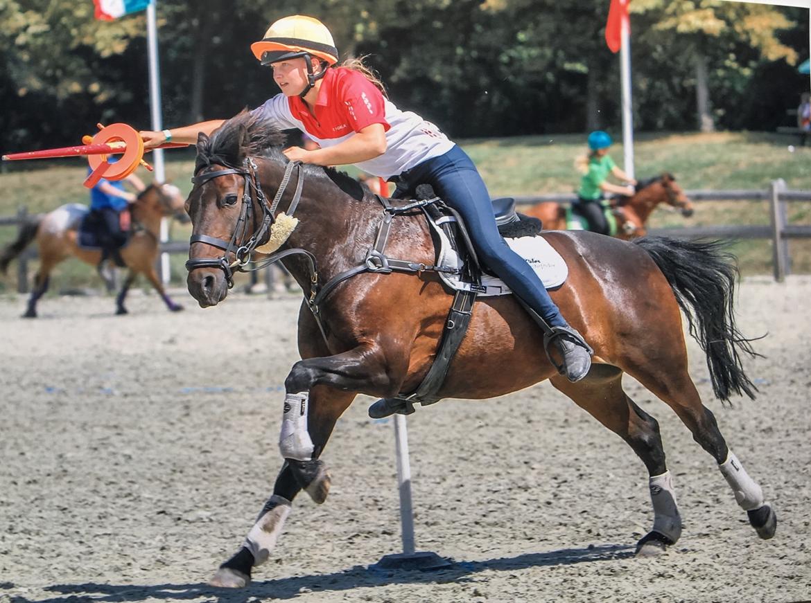 Anden særlig race Jumper  billede 13