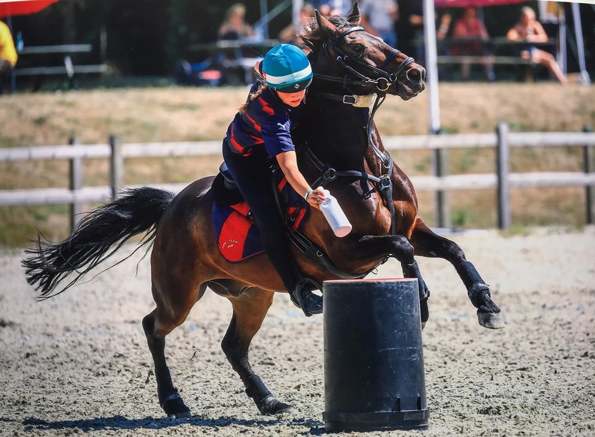 Anden særlig race Jumper  billede 11