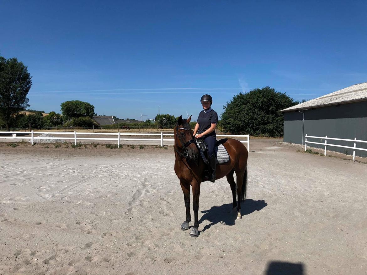 DSP Nørlunds makupa billede 1