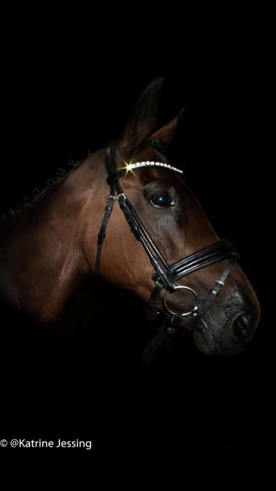 DSP Nørlunds makupa billede 7