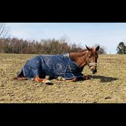 Anden særlig race Fame