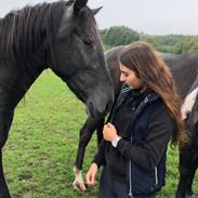 Oldenborg Faith af Hvarre