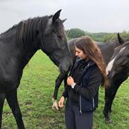 Oldenborg Faith af Hvarre