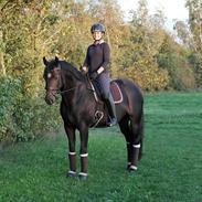 Oldenborg Zejr af Østerdovergaard