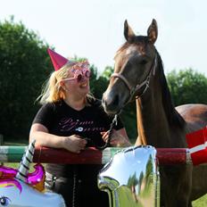 Dansk Varmblod Rosengårdens Prima Donna