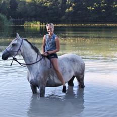 Anden særlig race Sunshine