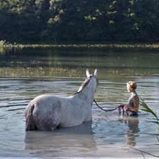 Anden særlig race Sunshine