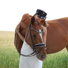 Dansk Varmblod Cille Nyskov