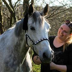 Dansk Varmblod Lambrié Vejen (Avlshoppe)