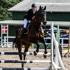 Anden særlig race Charlie Brown