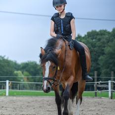 Anden særlig race Corna Sarah