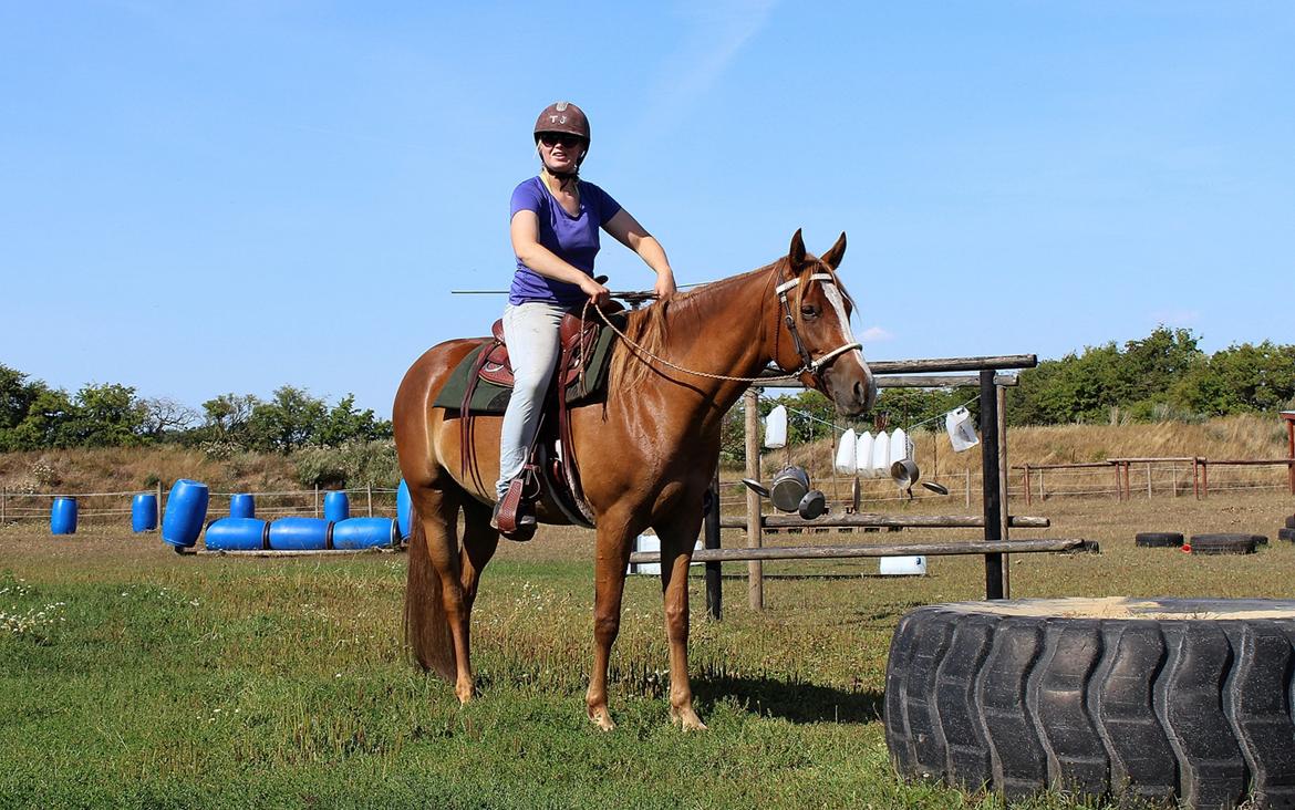 Mustang BestBreed Mustang Kalina billede 18