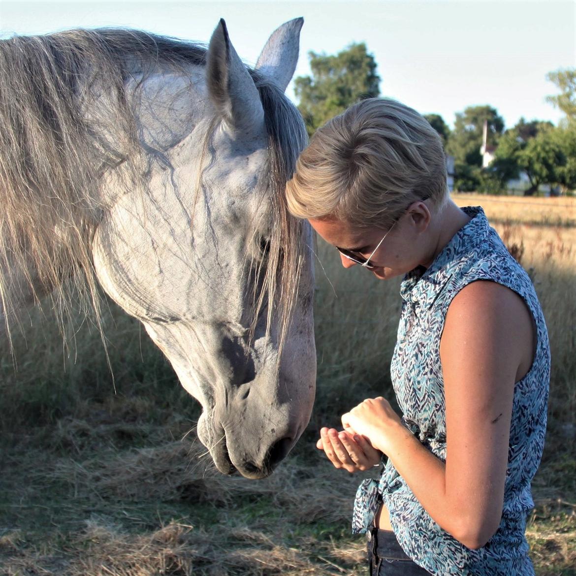 Anden særlig race Sunshine - Hygge på folden, 2018 billede 1