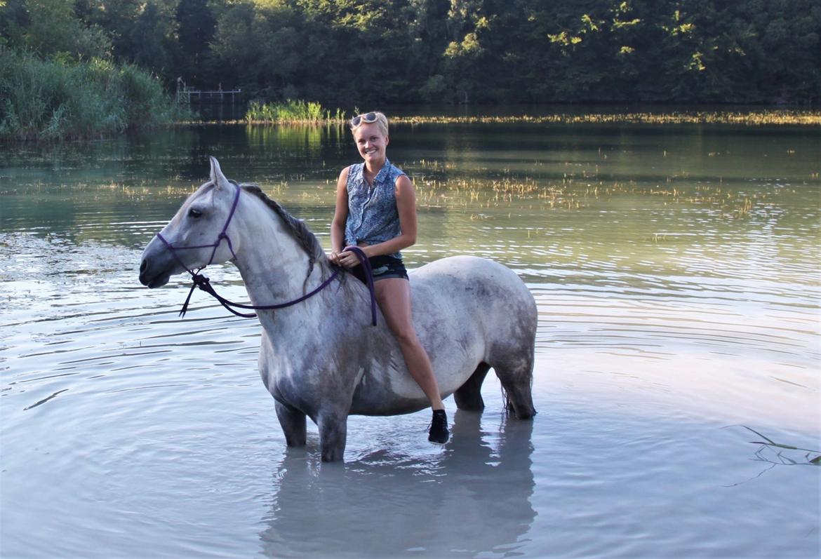 Anden særlig race Sunshine - Badning i Kirkelte, 2018 billede 2