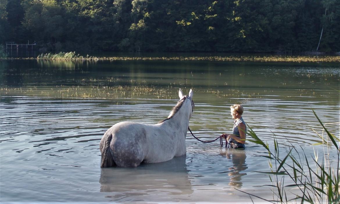 Anden særlig race Sunshine - Badning i Kirkelte, 2018 billede 3