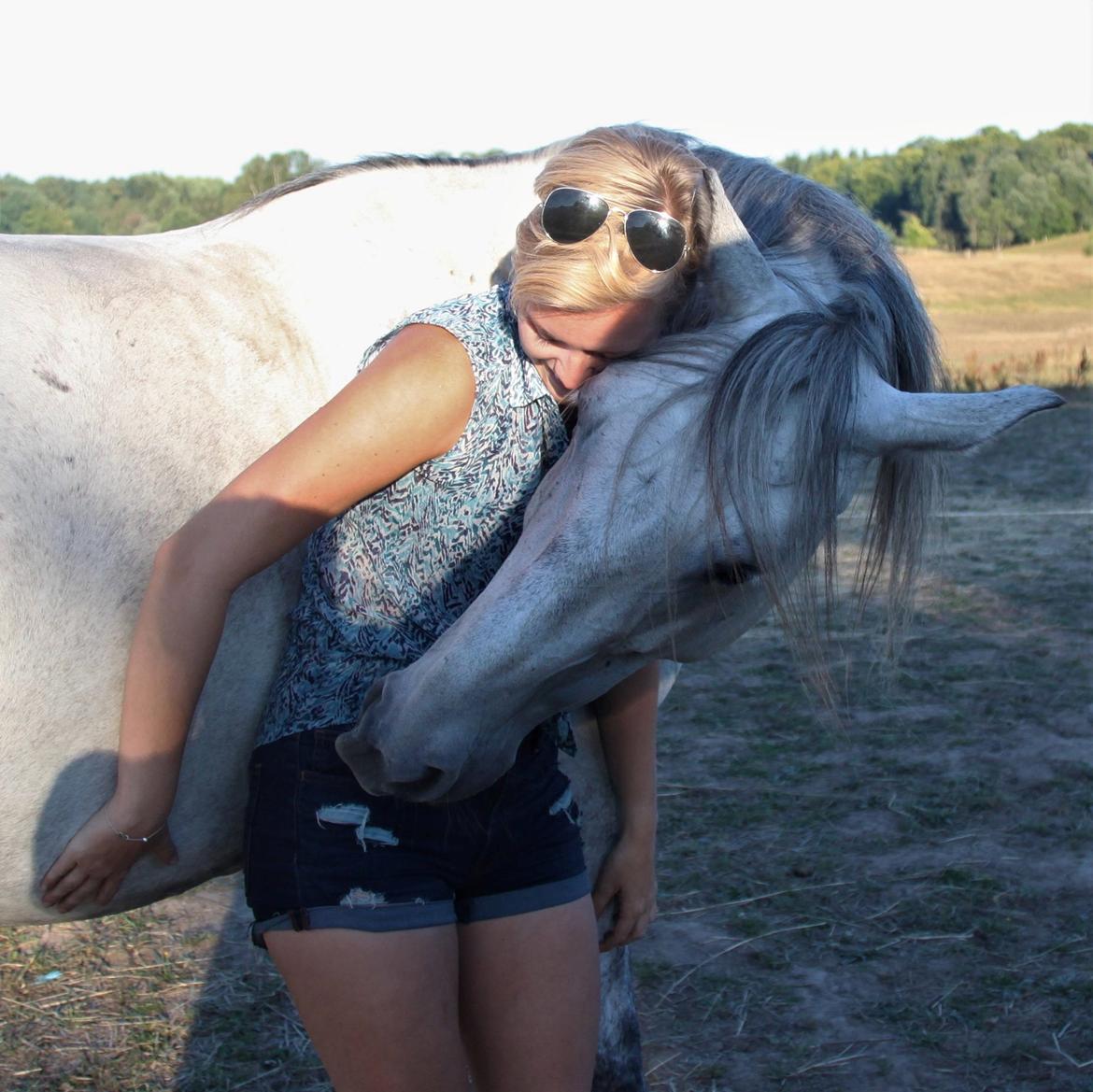 Anden særlig race Sunshine - Foldnusning, 2018 billede 4