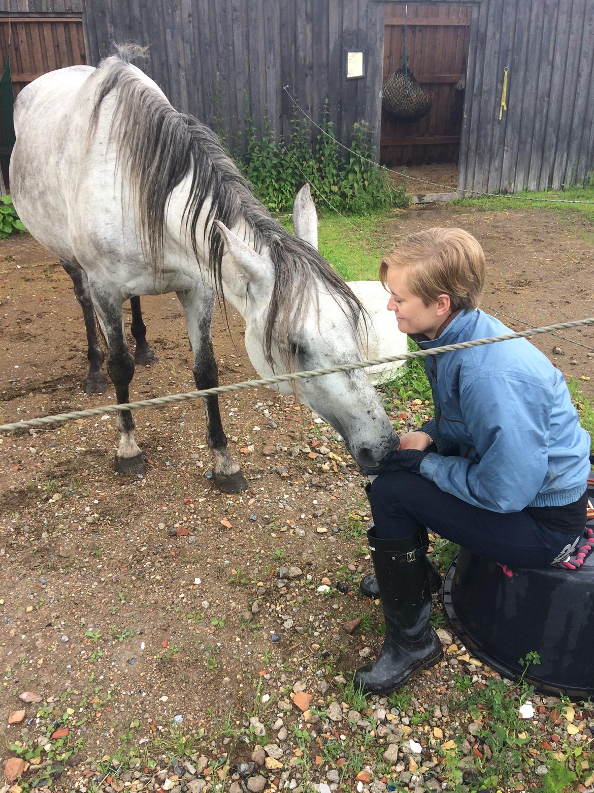 Anden særlig race Sunshine - Da jeg sagde på gensyn inden jeg flyttede til New Zealand i et halvt år. Sommeren 2017 billede 9