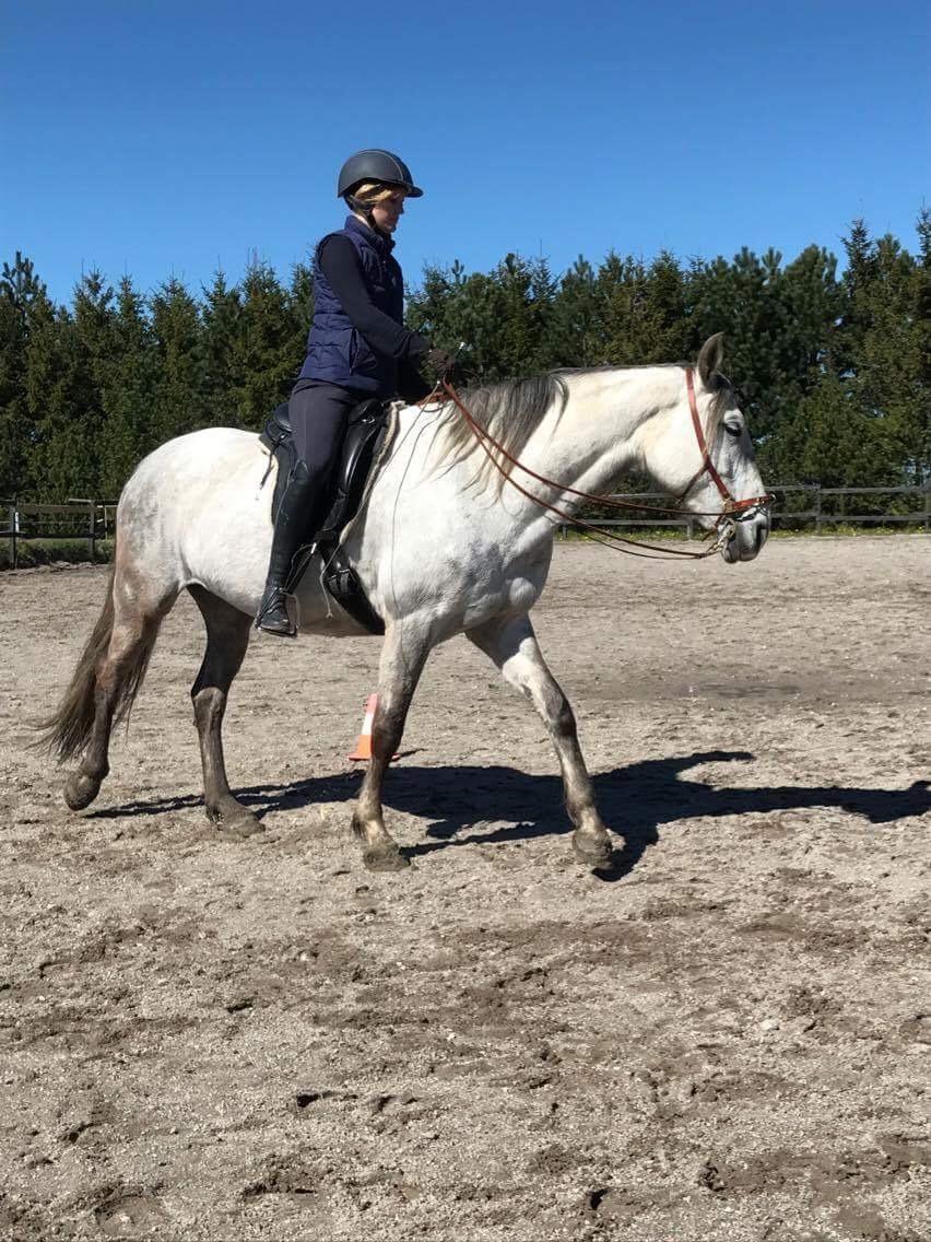 Anden særlig race Sunshine - Da jeg kunne ride rundt på hende selv, uden at gå i stå. Foråret 2017 billede 6
