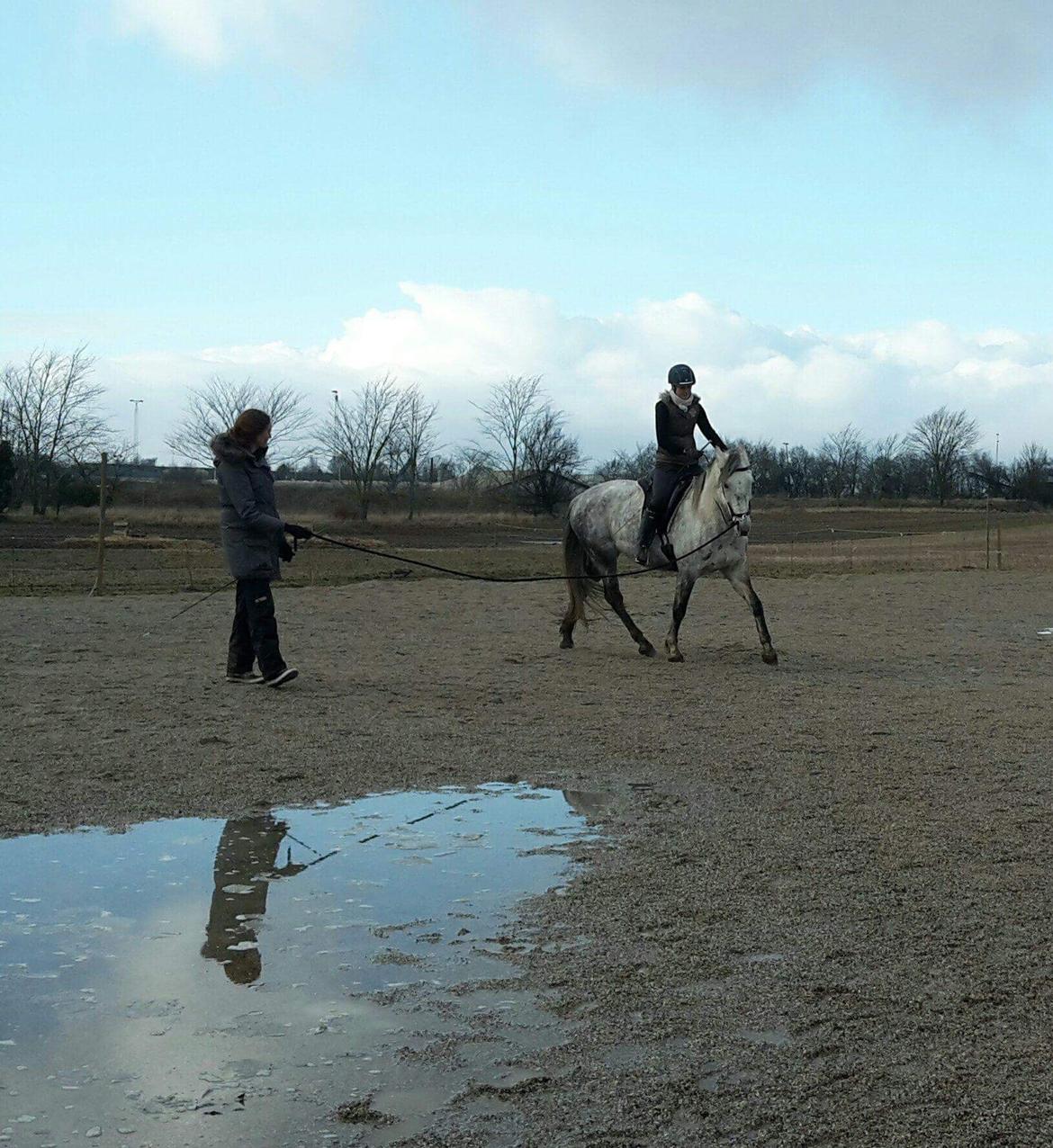 Anden særlig race Sunshine - En af de første gange på hende efter 8 mdr. ridepause. Februar 2018 billede 11