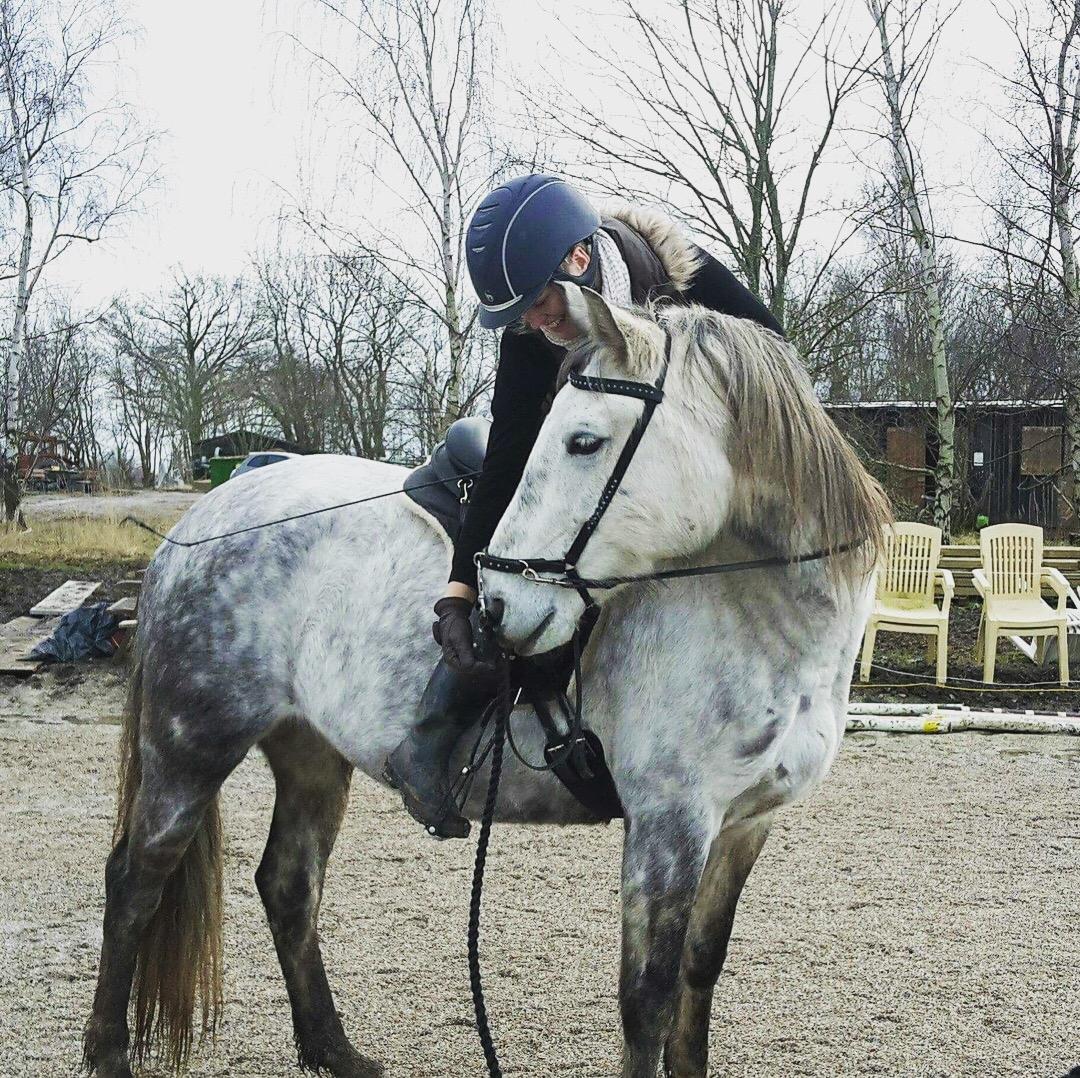 Anden særlig race Sunshine - En af de første gange på hende efter 8 mdr. ridepause. Februar 2018 billede 12