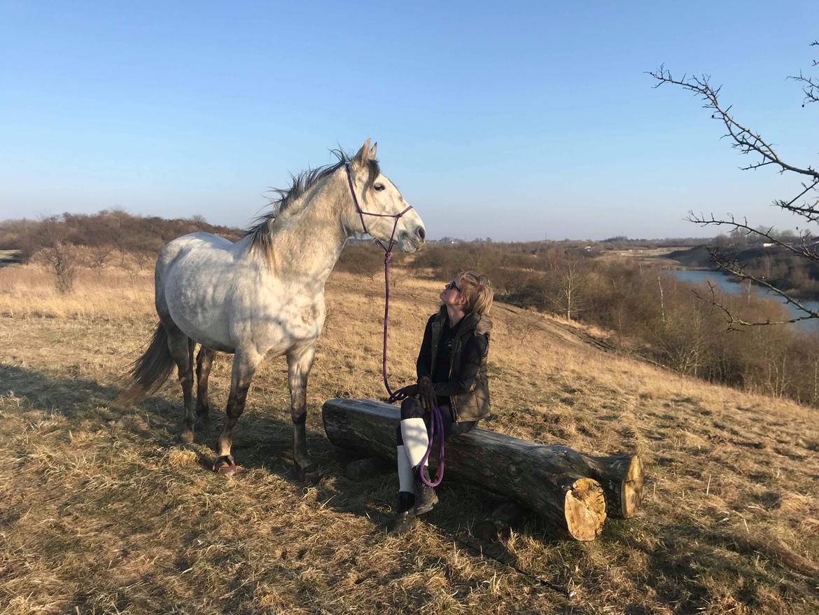 Anden særlig race Sunshine - Gåtur i Hedeland, forår 2018.  billede 13