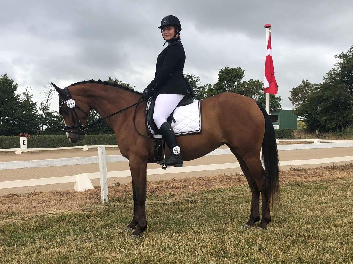 Anden særlig race Gloria billede 16