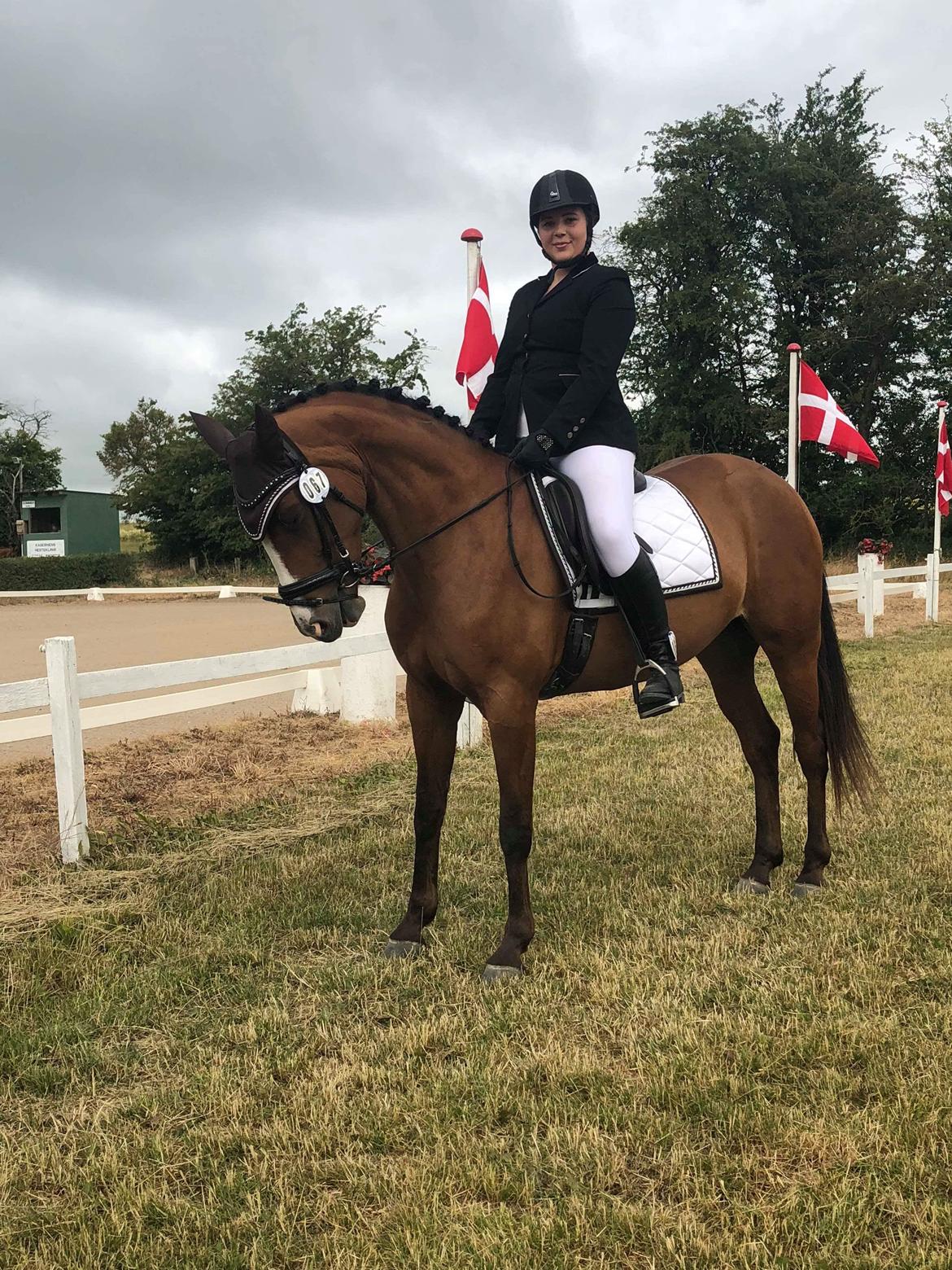 Anden særlig race Gloria billede 17