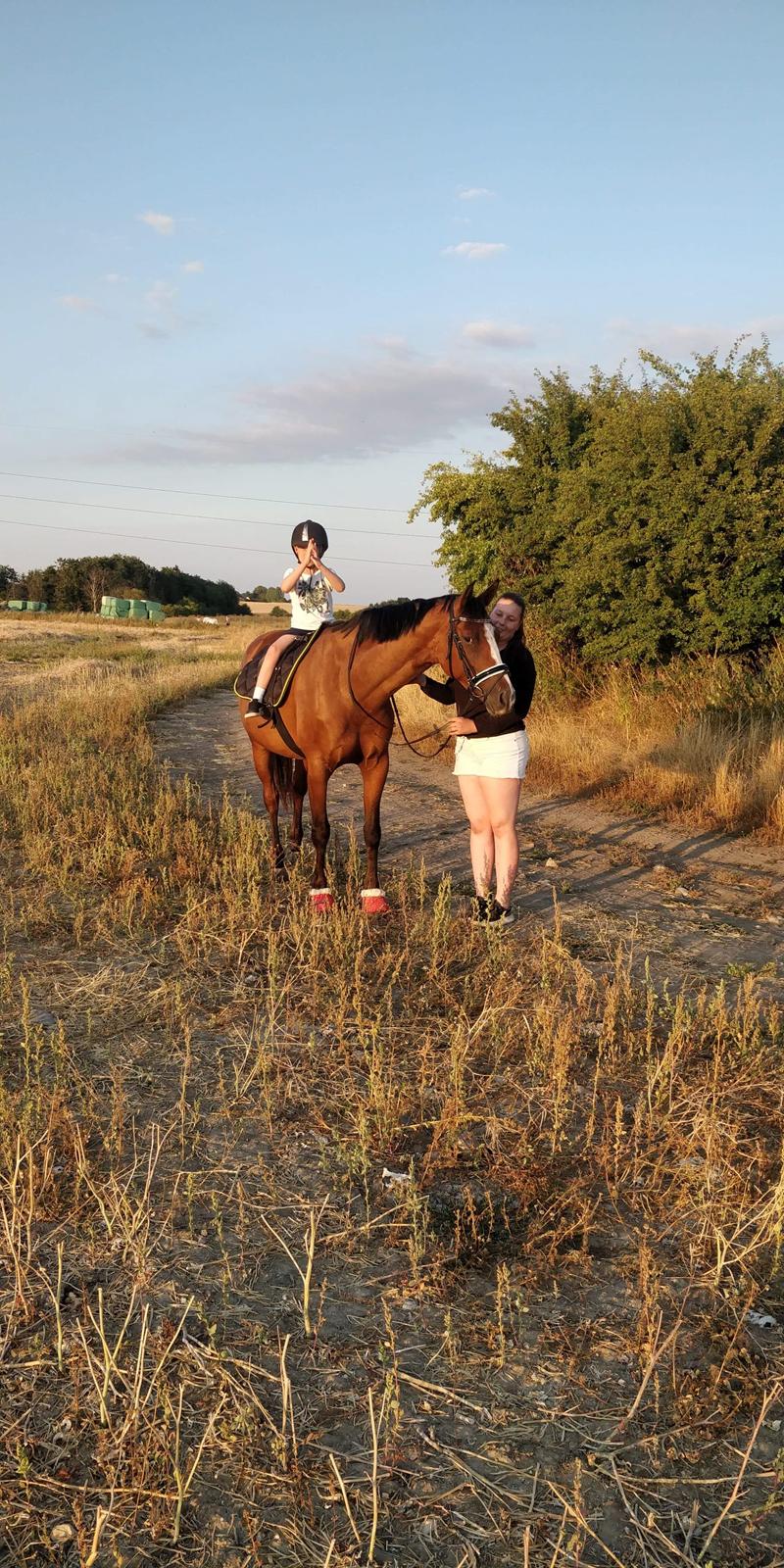 Anden særlig race Gloria billede 18