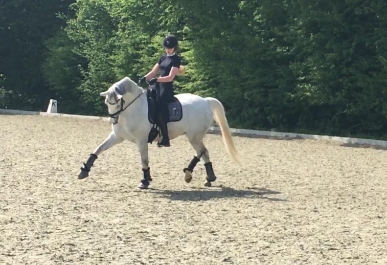 Svensk Sportspony  Uriah Heep A pony billede 19