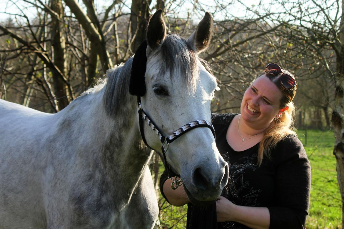 Dansk Varmblod Lambrié Vejen (Avlshoppe) - Min smukke dame <3 billede 3