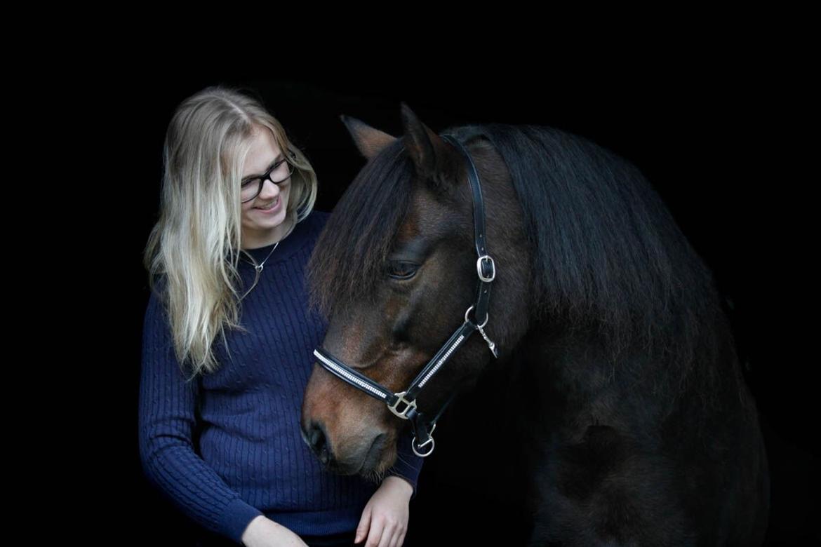 New Forest Sissa billede 1