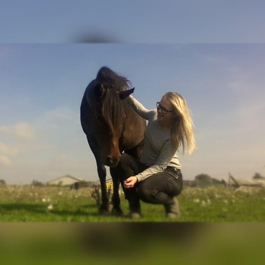 New Forest Sissa billede 3