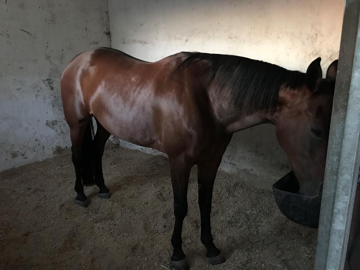 Traver Treasure Me K G billede 20