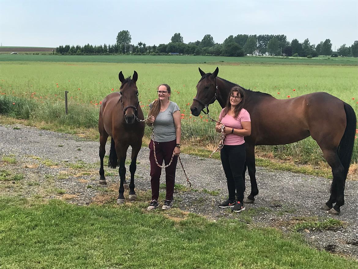 Traver Treasure Me K G billede 21