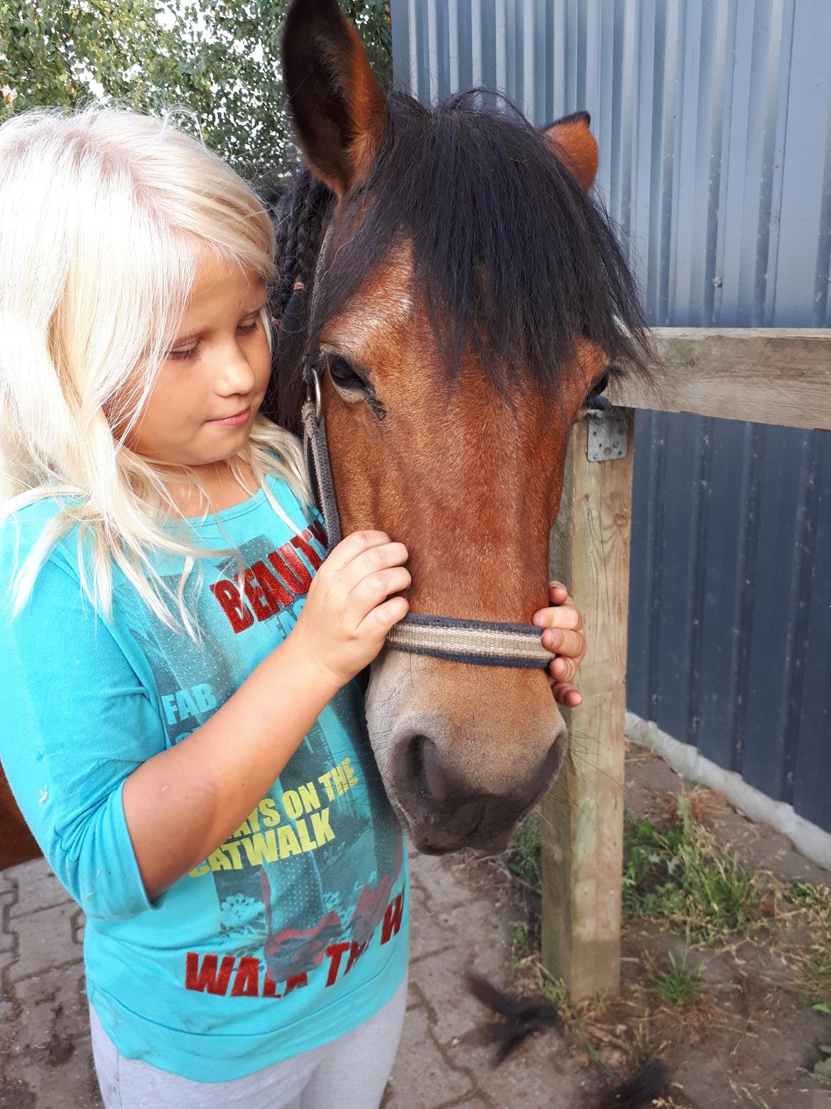 Anden særlig race Tulle (solgt) billede 3
