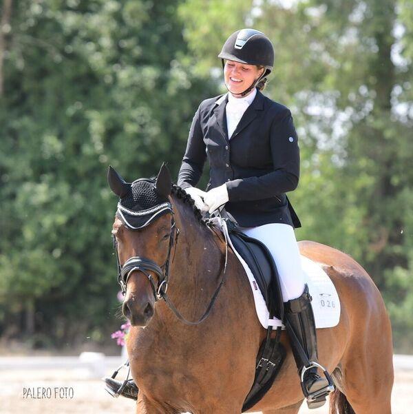 Dansk Varmblod Solbakken's Rocksley billede 13