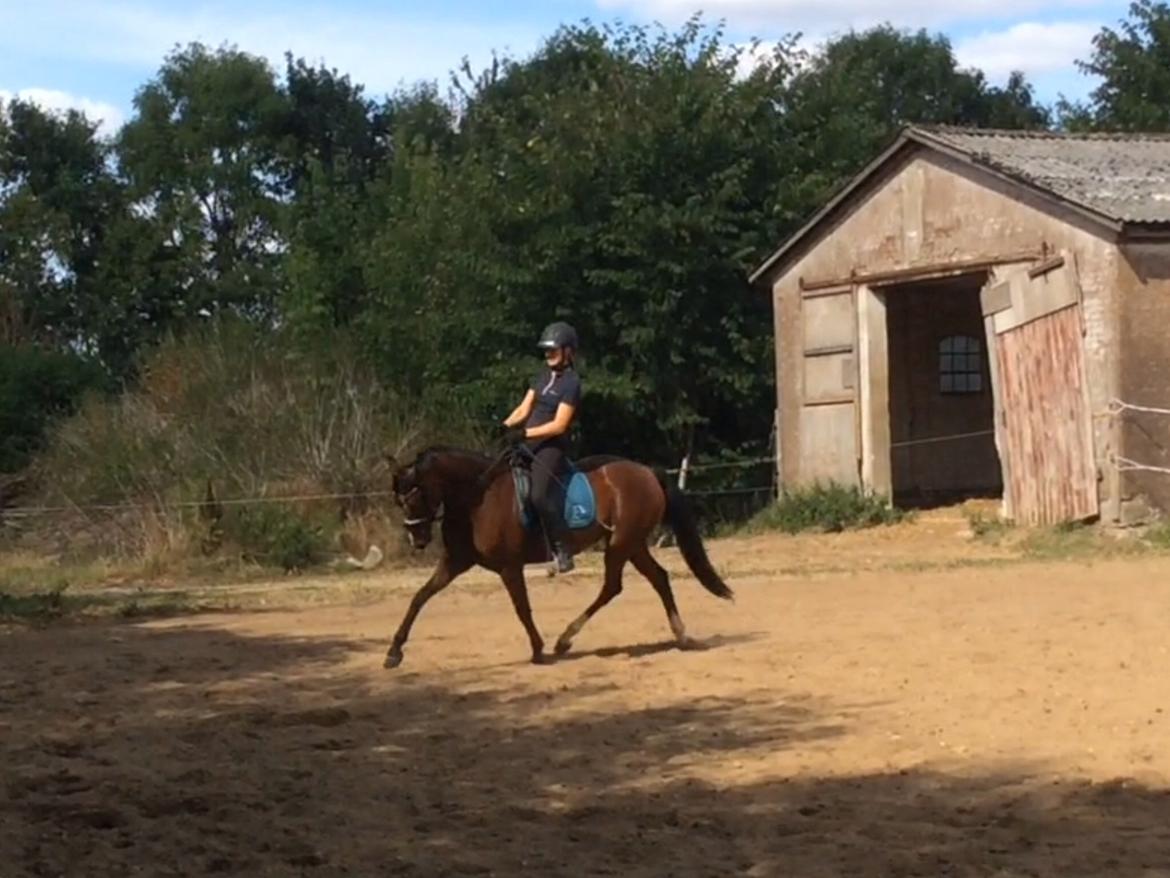 DSP Jq café latte hit billede 4