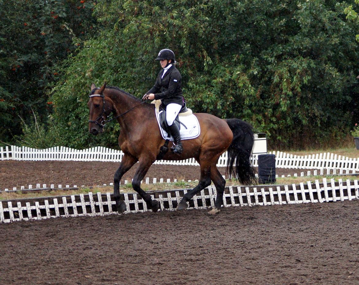 Oldenborg Cornett  billede 34