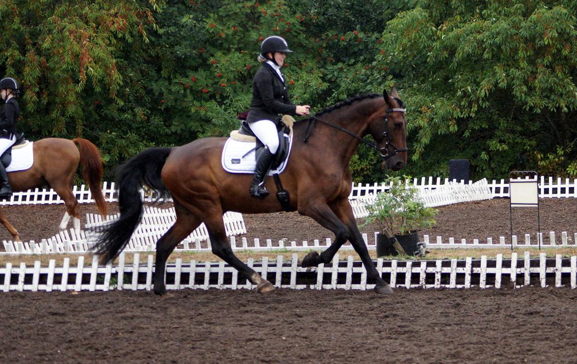 Oldenborg Cornett  billede 3