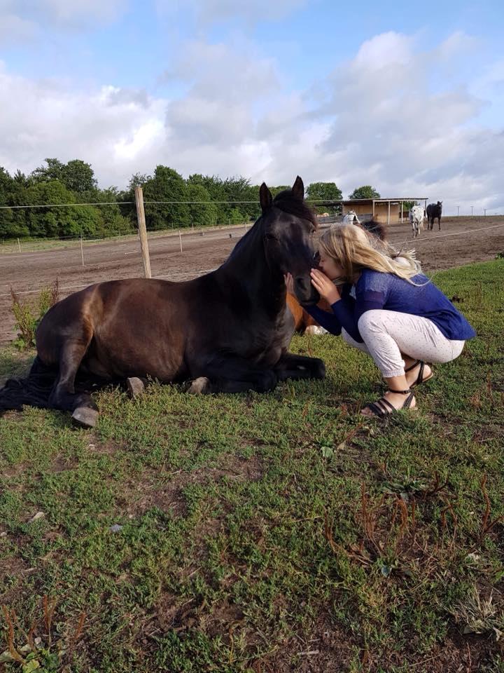 New Forest Vangsgaard's caesar billede 1