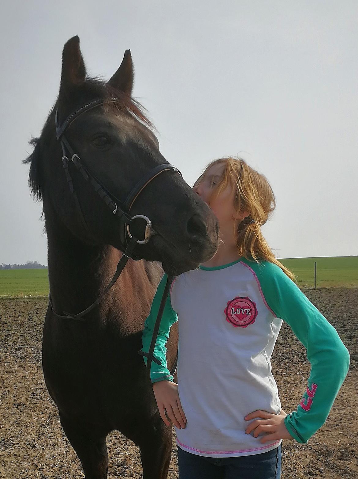 New Forest Elmholts Patrick  billede 1