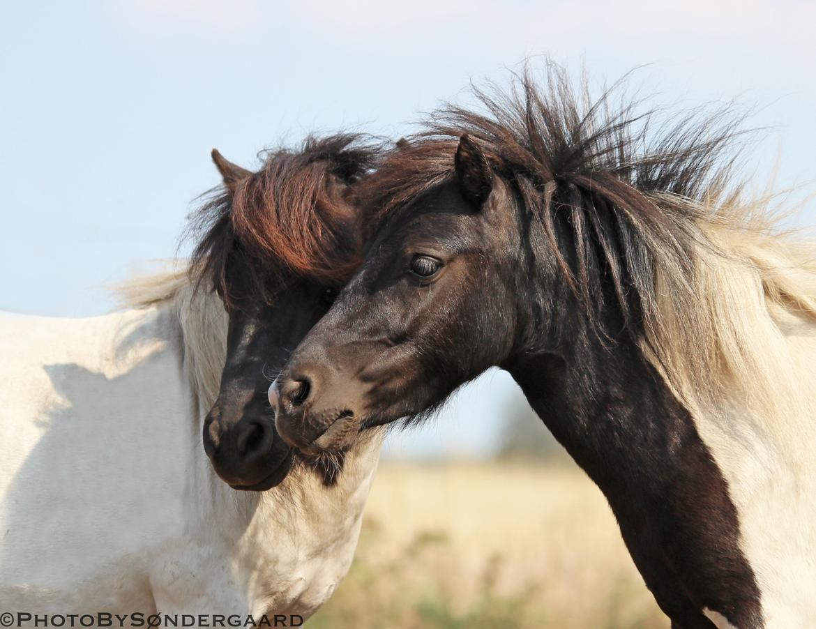Miniature My Second Chance For Happiness - 2018. Far og søn. billede 3
